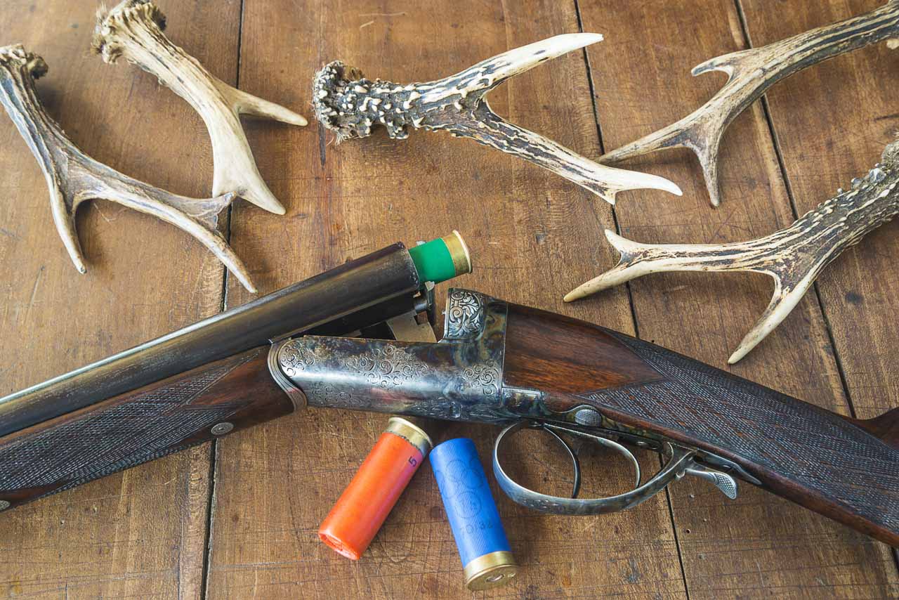 鹿撃ちの弾選びの極意！散弾銃・ライフル銃両方解説します