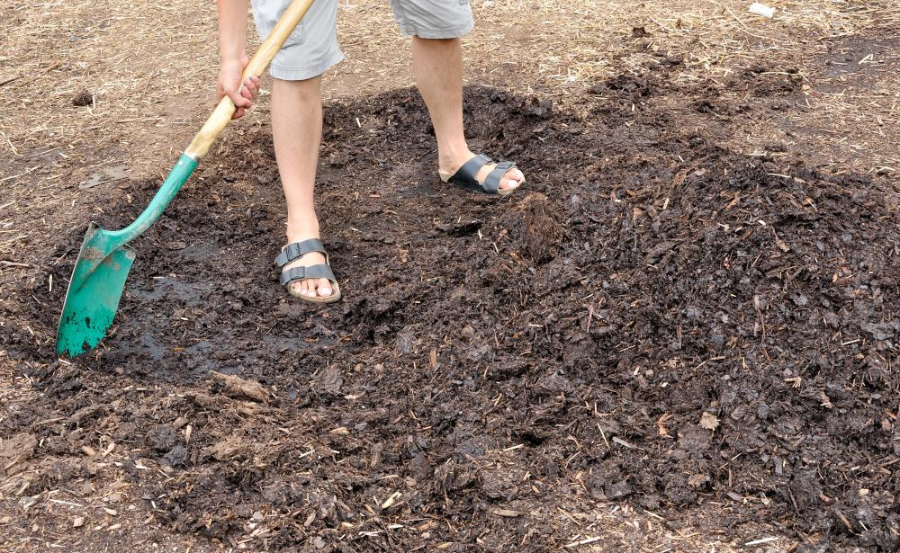 How do you prevent mold on mulch