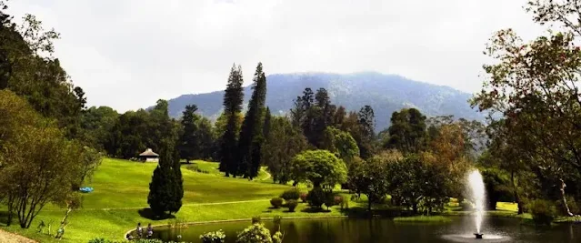 Kebun Raya Cibodas yang Terletak di Pacet