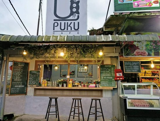 Puku Cafe at Kea Farm