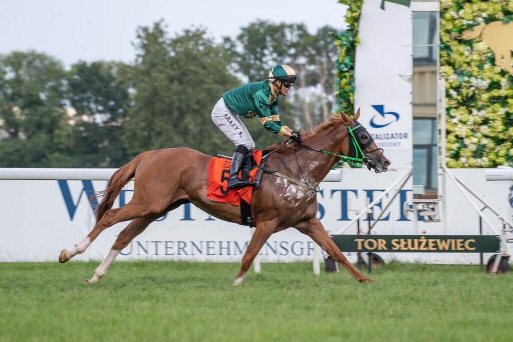 A jockey riding a horse  Description automatically generated