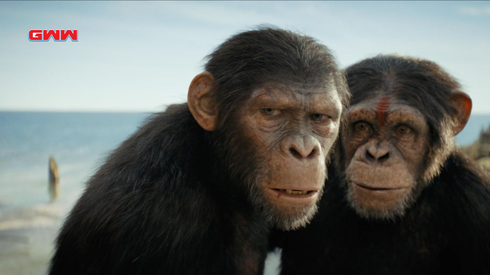 Sara Wiseman and Owen Teague as Cast of Kingdom of the Planet of the Apes