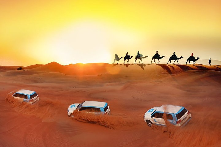 desert safari new year in Dubai
