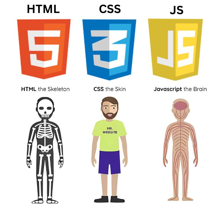 Discover The Differences Between Html Css And Javascript Golden Owl 0847