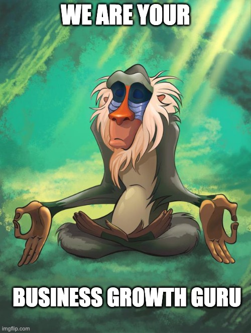 The monkey Rafiki from the Lion King meditating stating 'we are your business growth guru'. 