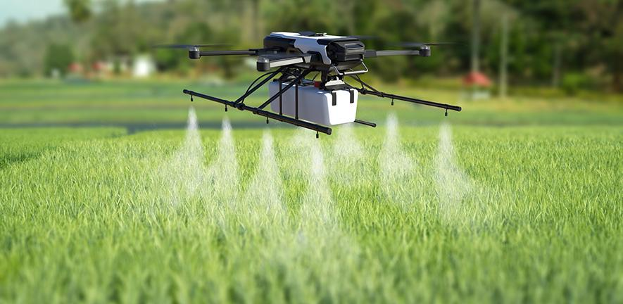 AI in Agriculture 