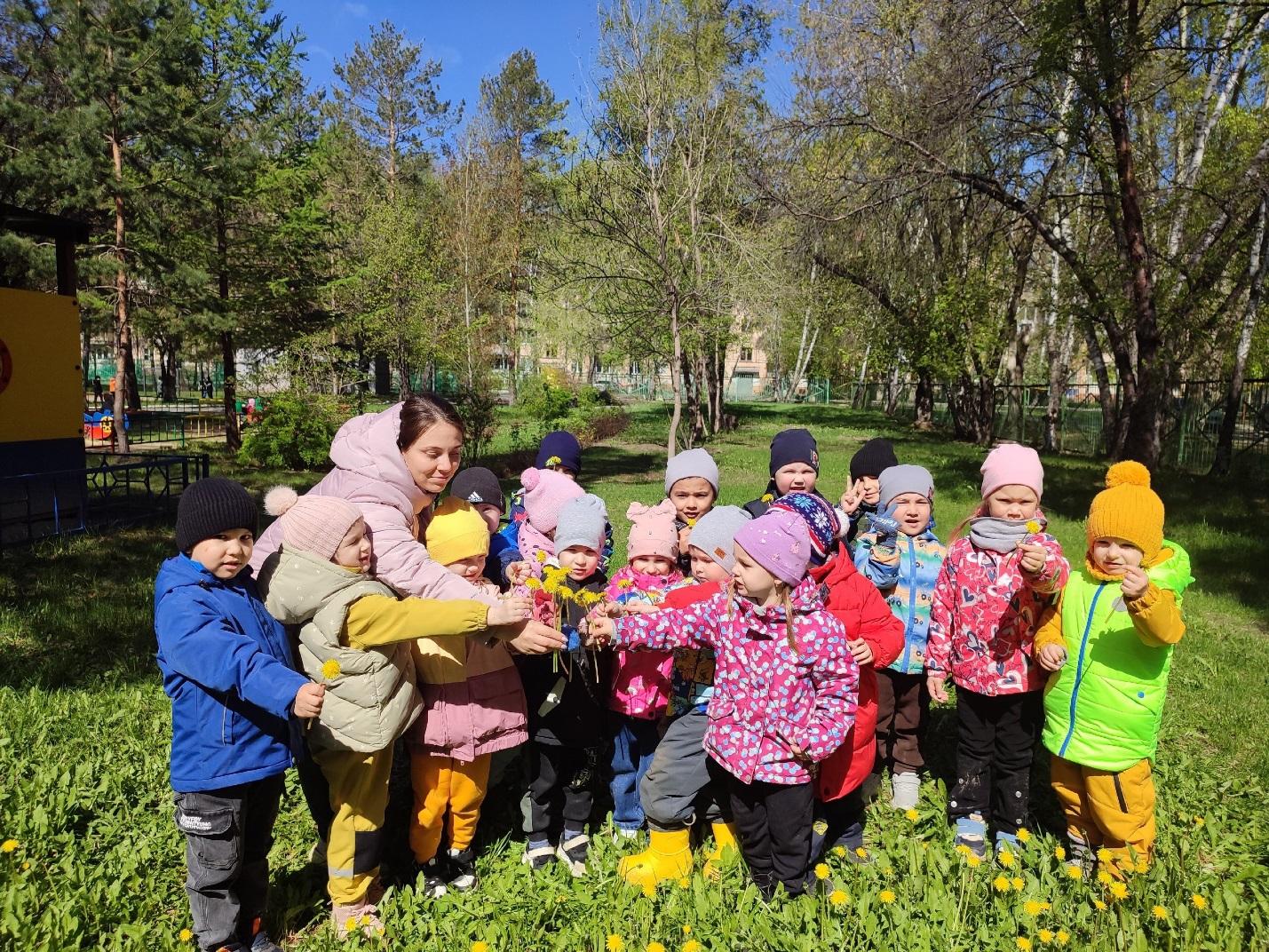 День одуванчика — МАДОУ детский сад № 87 города Тюмени