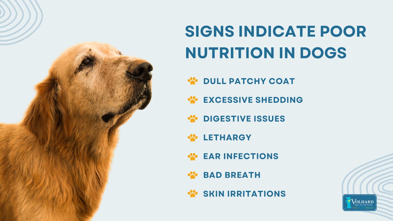 Signs poor nutrition dogs