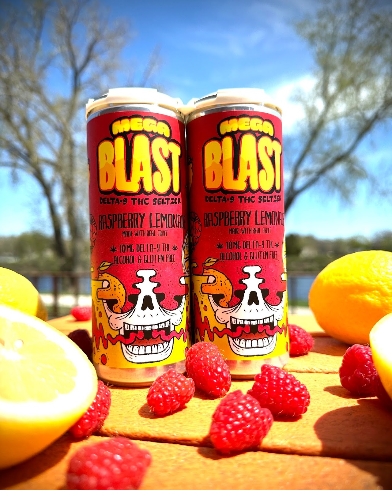 The Brewing Projekt Mega Blast - Raspberry Lemonade