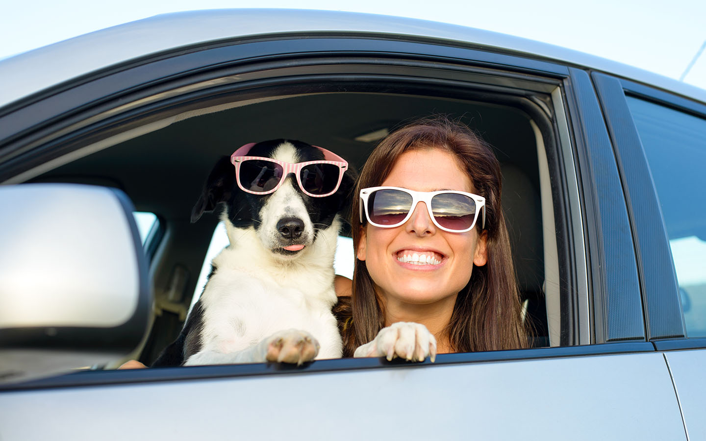 use Tesla dog mode and enhance safety of your pets
