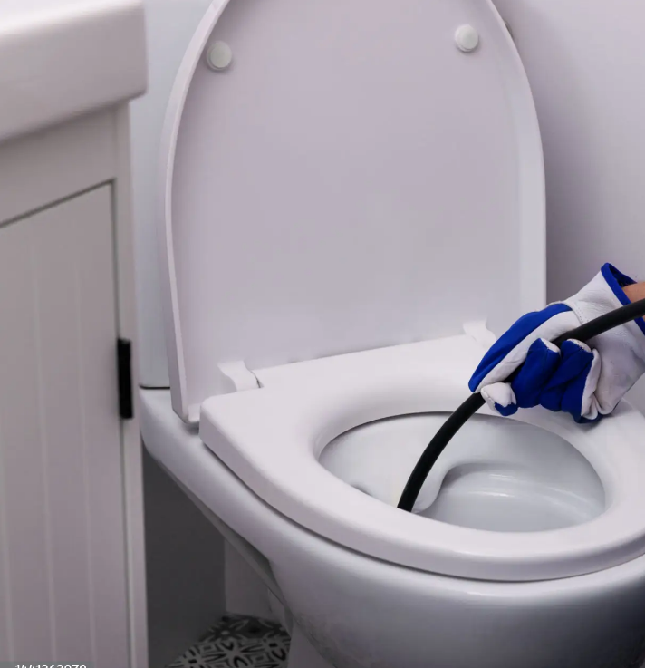 clogged toilet fixing