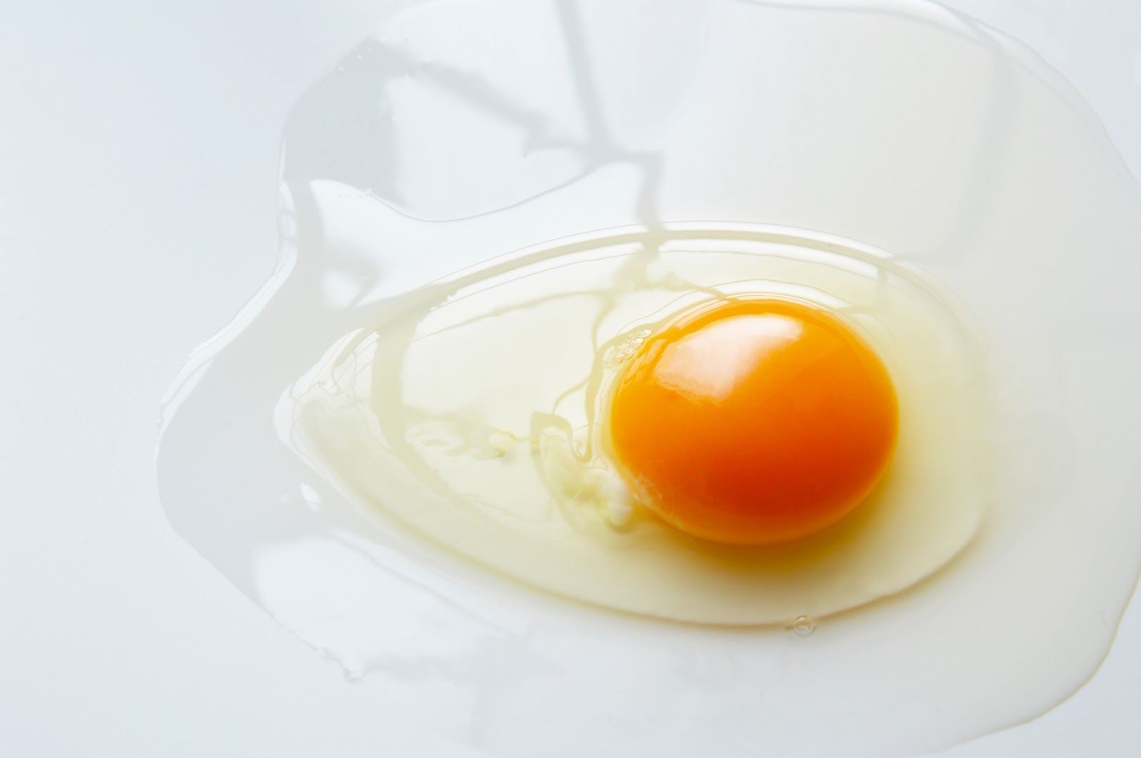 卵が水っぽい原因は？卵の品質にこだわる養鶏場が解説します！-卵の豆知識|大熊養鶏場