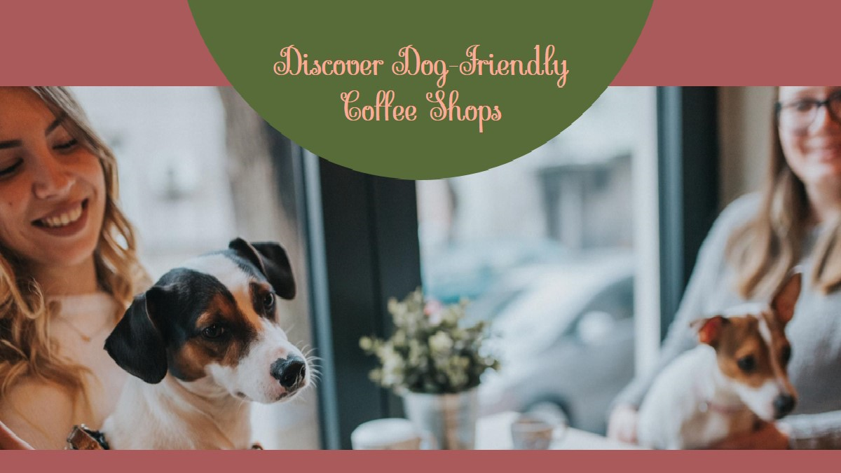 Explain Dog Friendly Coffee Shops Near Me