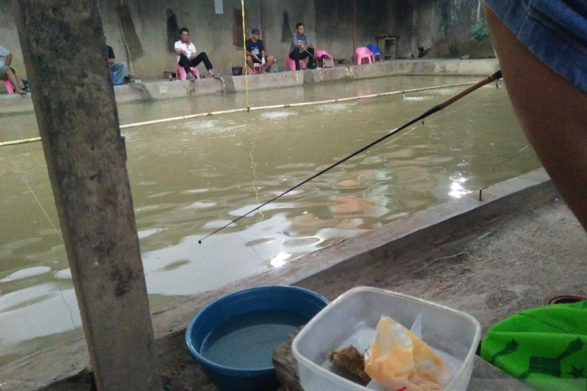 Cara Bikin Essen Ikan Mas