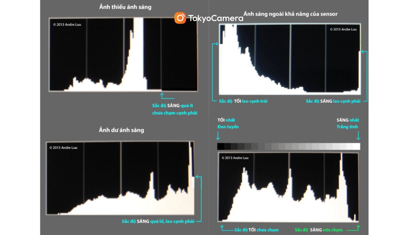 Cách đọc biểu đồ Histogram cơ bản - Nguồn: Andree Luu