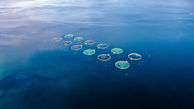 Aquatic Biotech Ocean Solutions