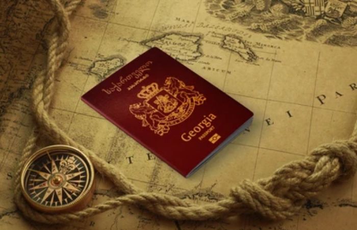 Georgia visa fee - visa type