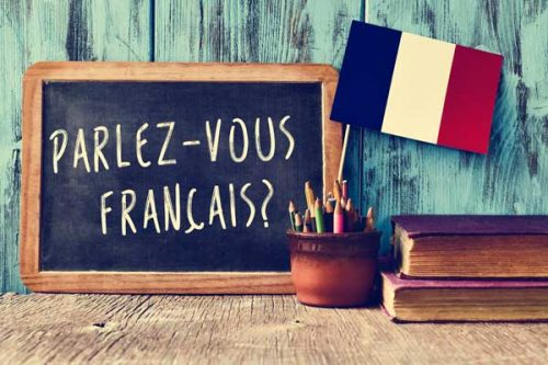 Paris City Guide: Essential French Phrases