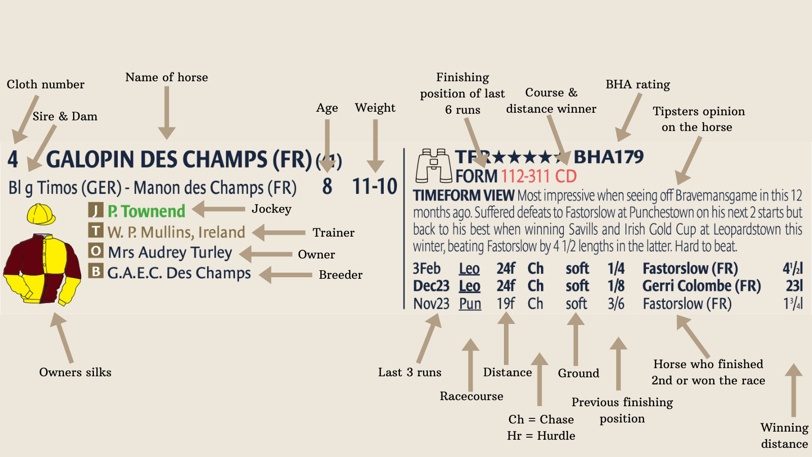 Horse racing form example