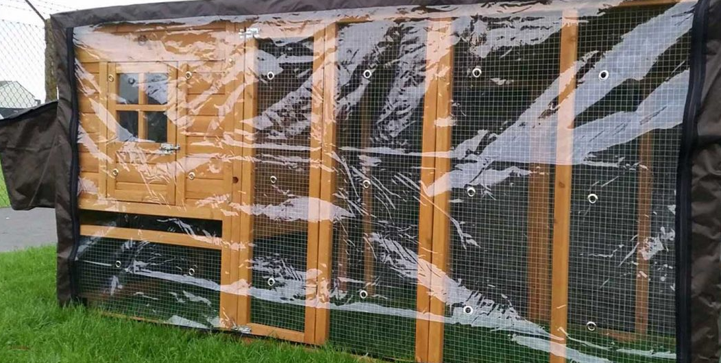 Polycarbonate sheet covering a chicken coop
