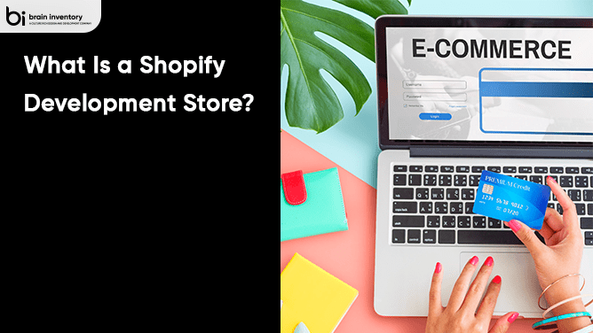 Shopify development store