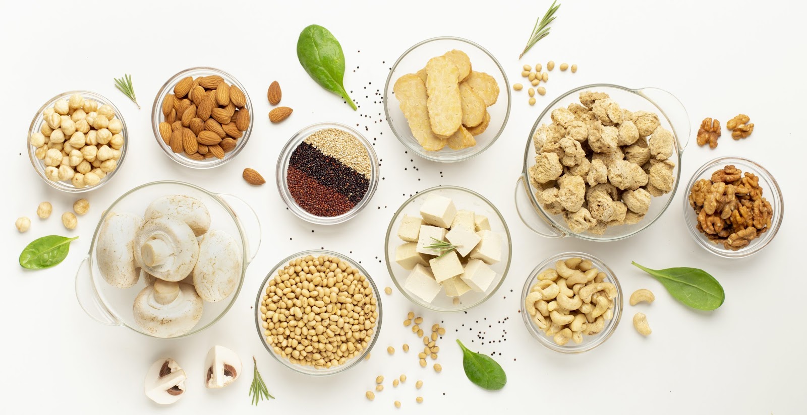 Alternative proteins, part 2: plant-based proteins - Erdyn > Conseil en  Innovation