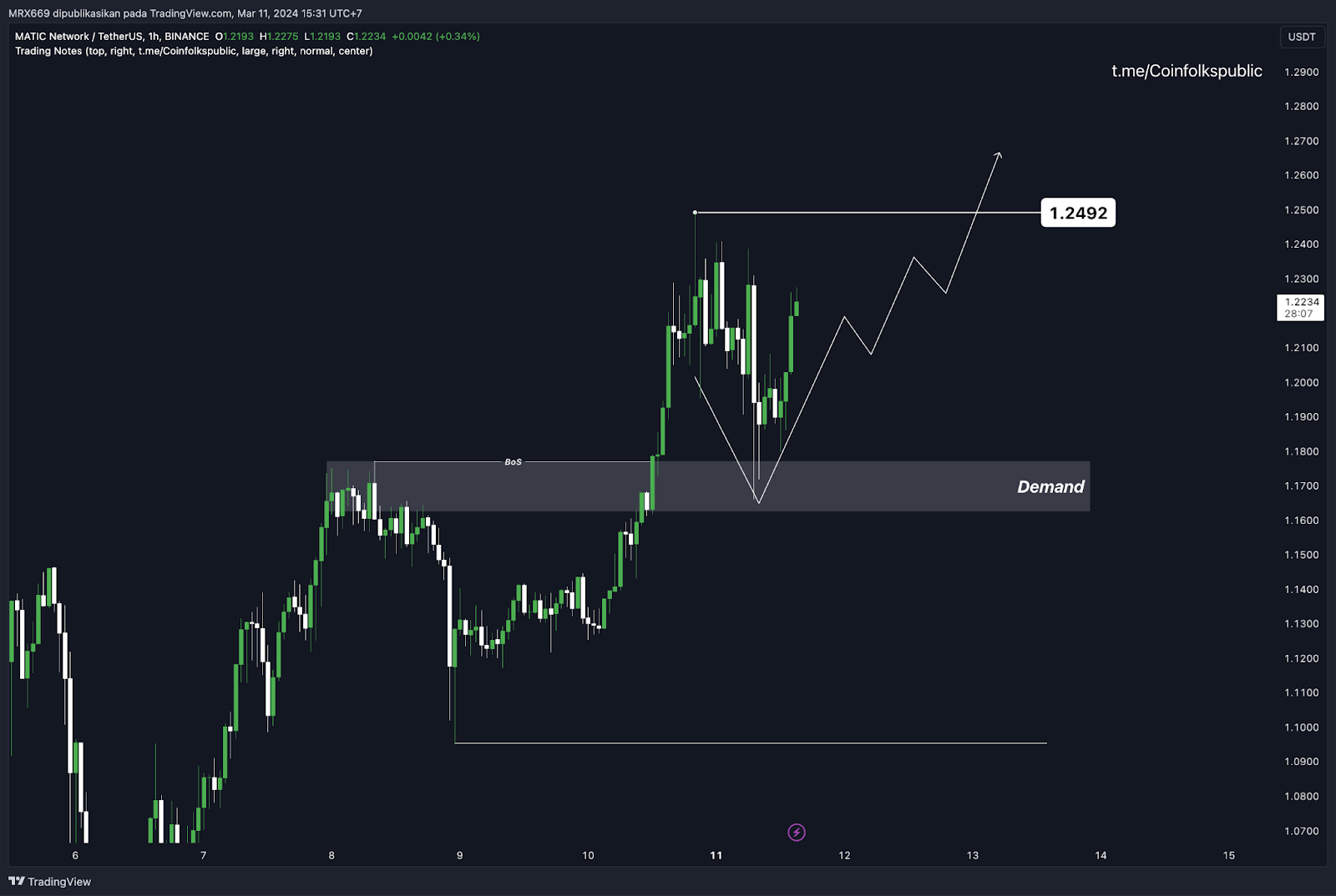 Weekly Crypto Market Outlook (12 Maret 2024)