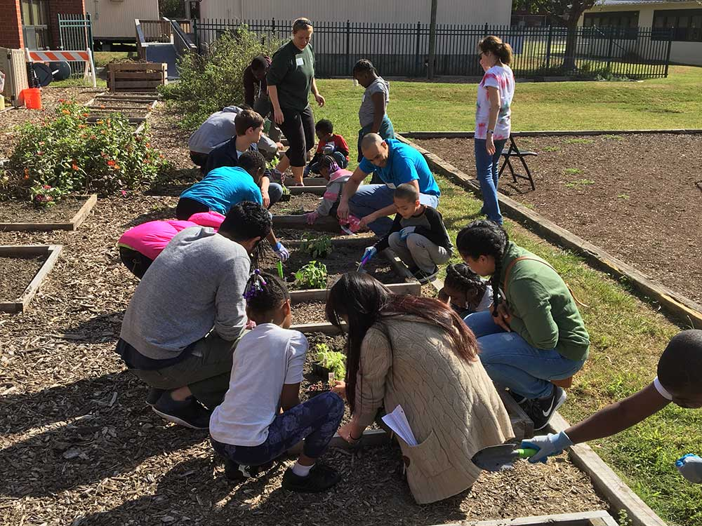 EVMS students gardening in a community service activity.