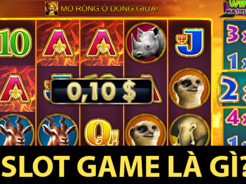 Hình ảnh