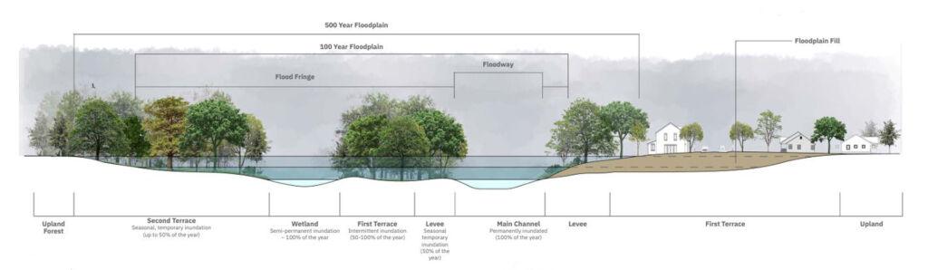 A diagram of a tree

Description automatically generated