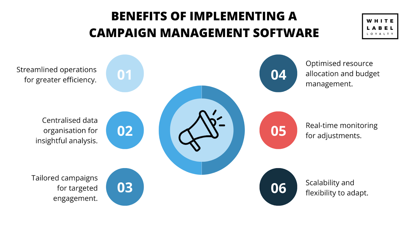 What are the benefits of implementing a campaign management software?