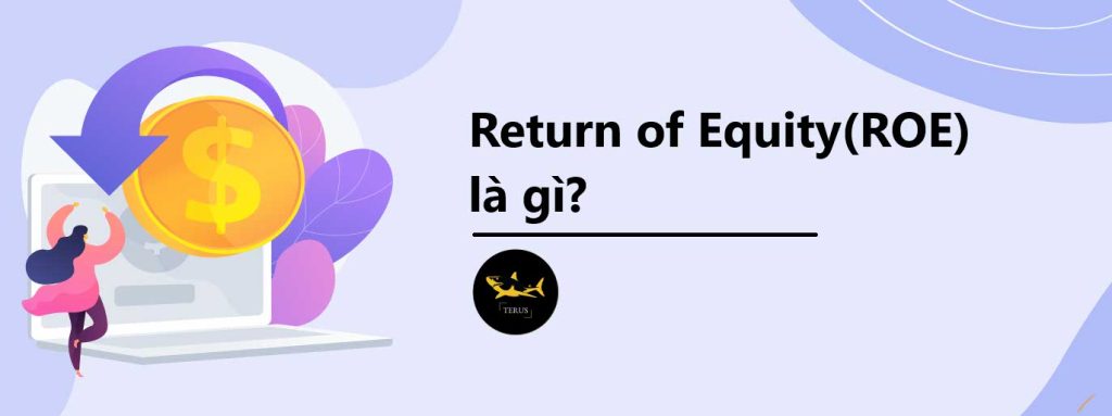 Return on Equity(ROE) là gì?