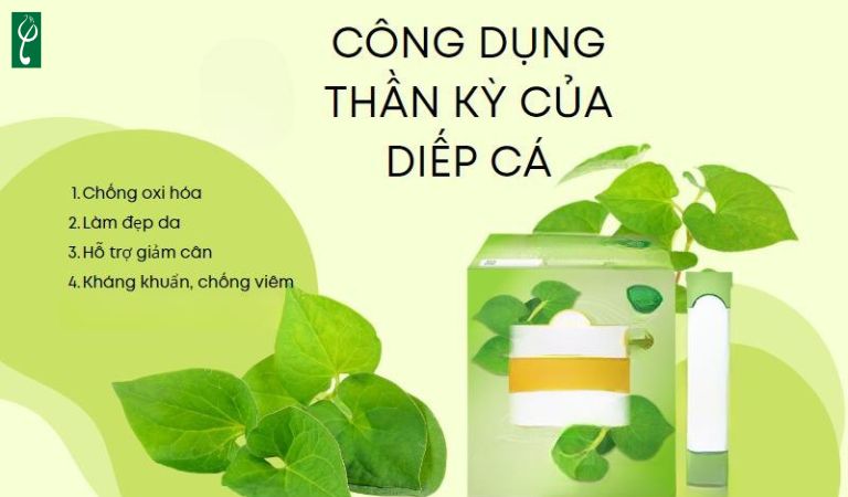 Gia công mỹ phẩm chiết xuất diếp cá giúp sưng đỏ, làm dịu da 