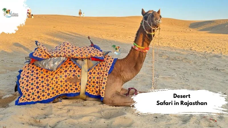 Desert Safari in Rajasthan