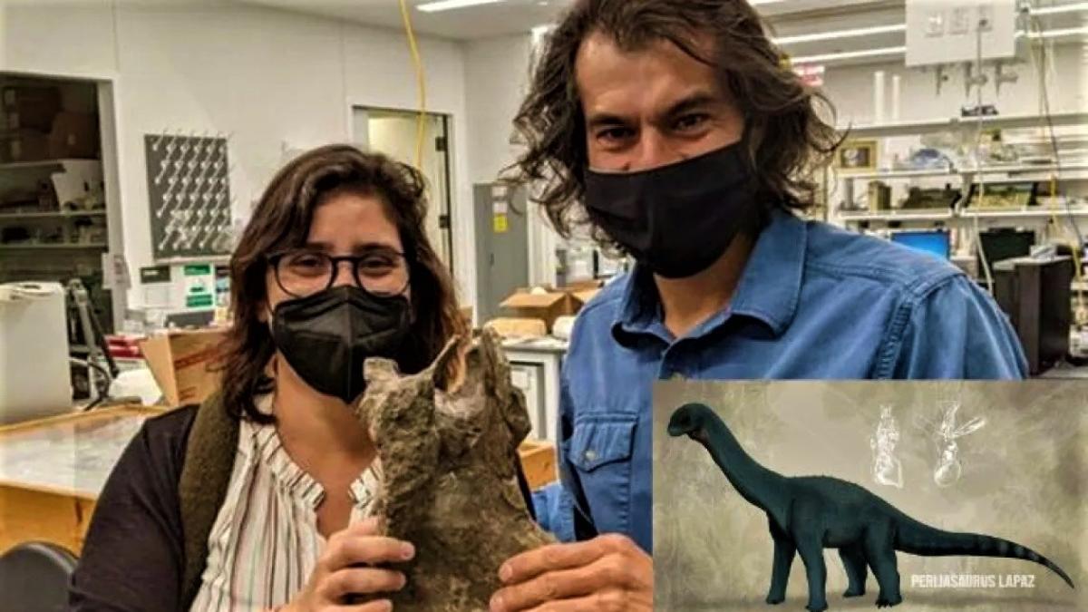  Harold Jiménez Velandia, estudiante de la Maestría en Ciencias de la Tierra de la U. de Caldas, hizo parte del grupo de investigadores que descubrieron a ‘Perijasaurus lapaz’. Foto: Radio Nacional de Colombia&nbsp;<br><br>    