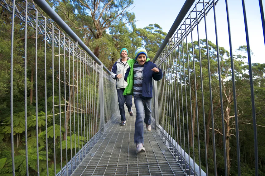 treetop walk for all ages