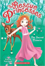Image result for Rescue Princesses series