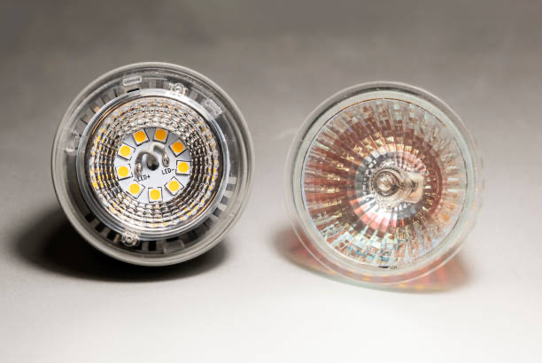 Halogen Light Bulbs