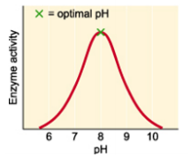 Gráfico, Gráfico de líneas

Descripción generada automáticamente