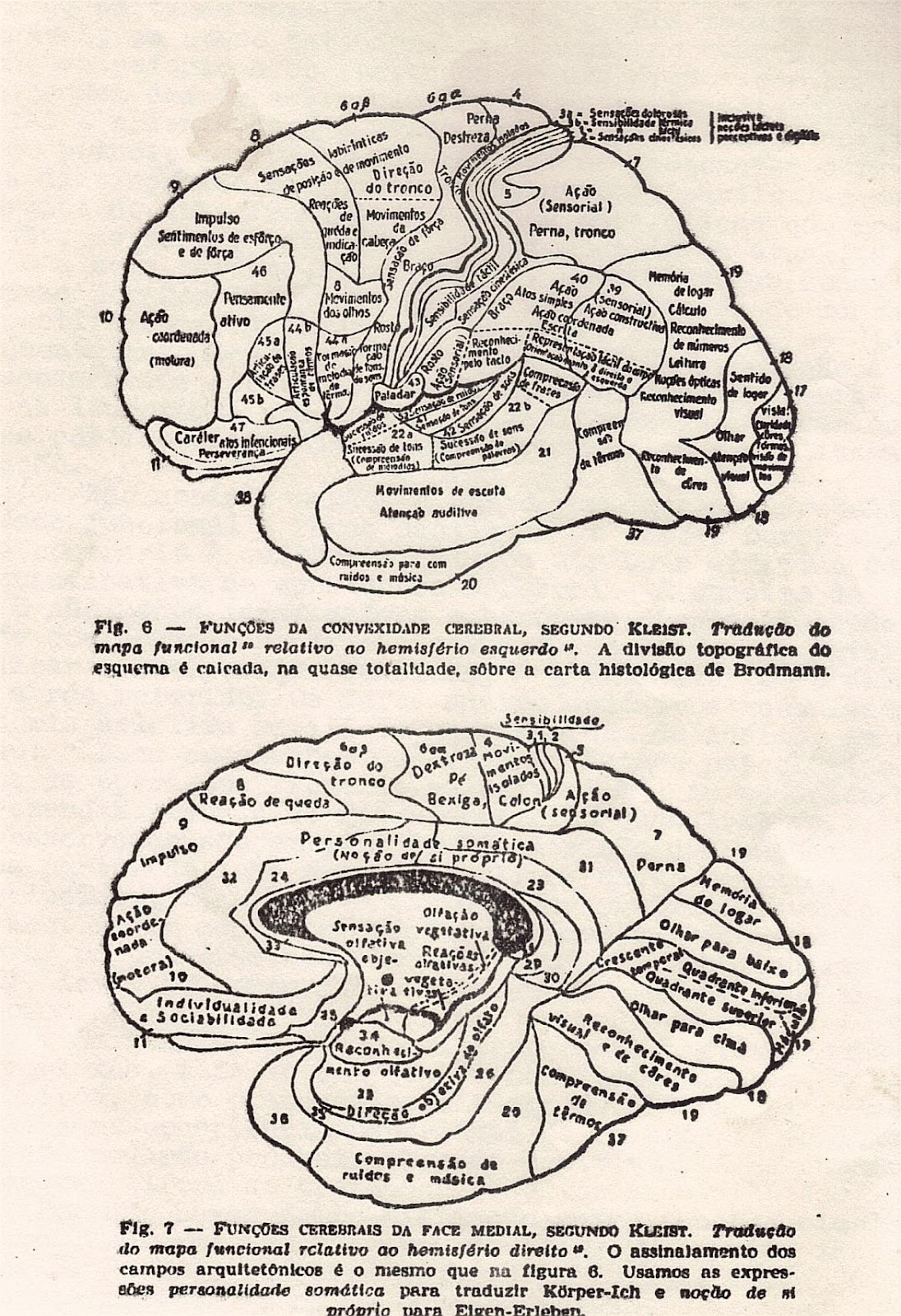 Esquema 5 - psicologia fisiológica.jpg