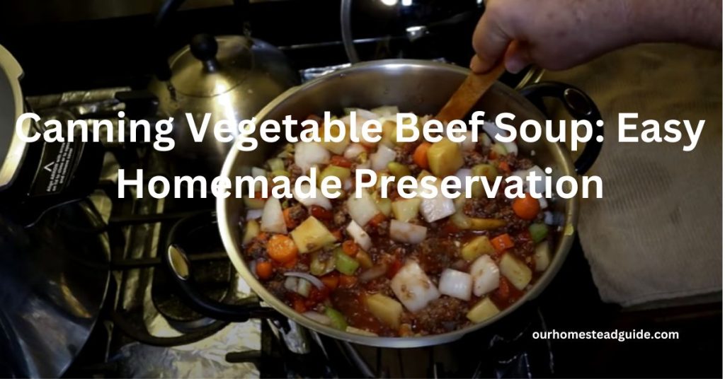 Canning Vegetable Beef Soup