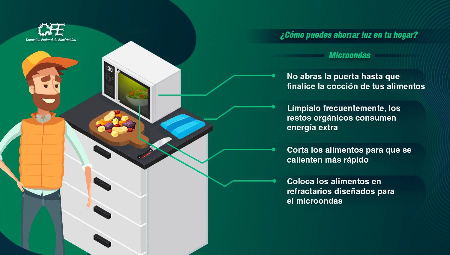 CFE ahorro de energía recomendaciones (CFE)