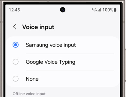 Smasung voice input chosen in the Voice input settings