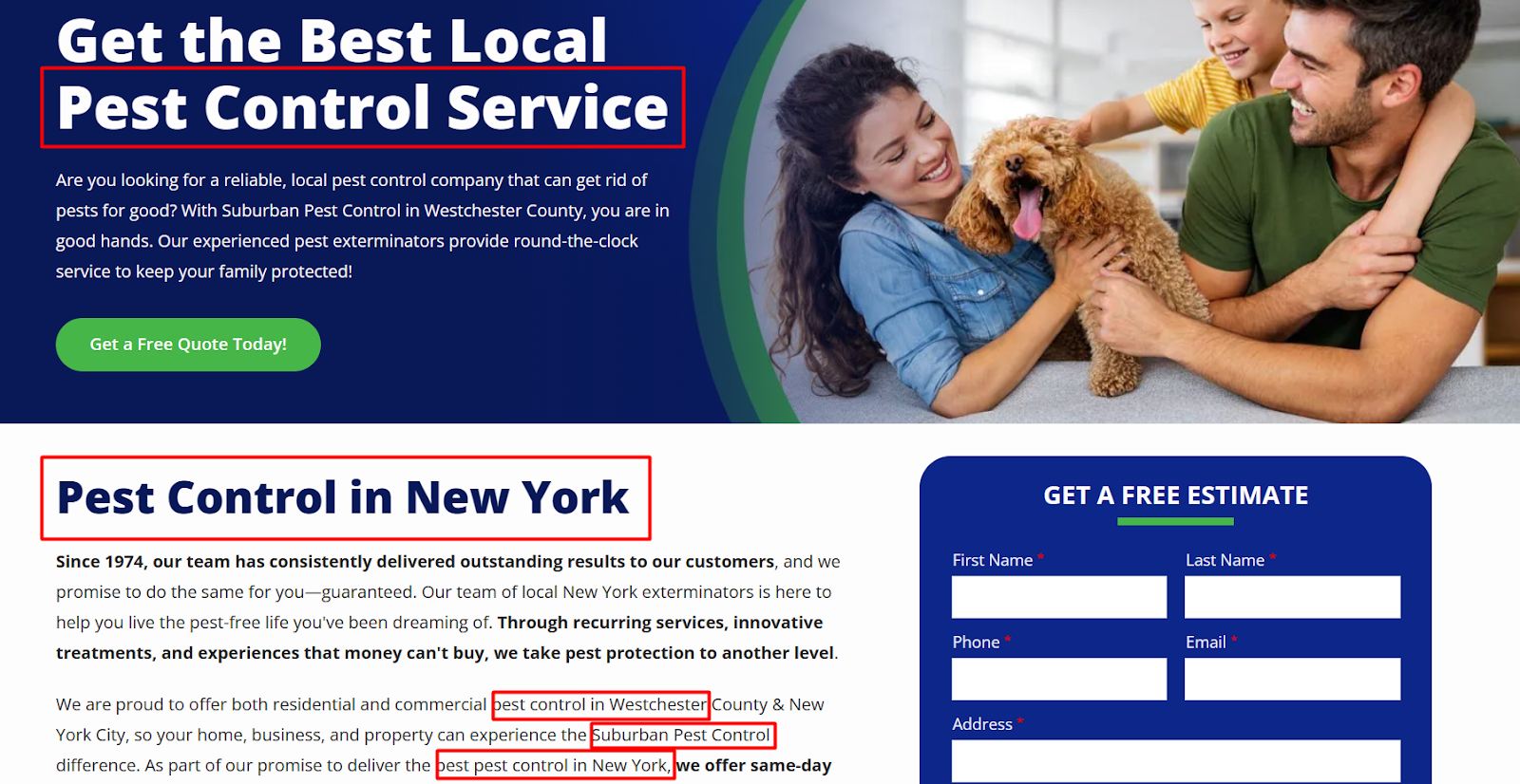 Pest Control Website’s Home page Optimization