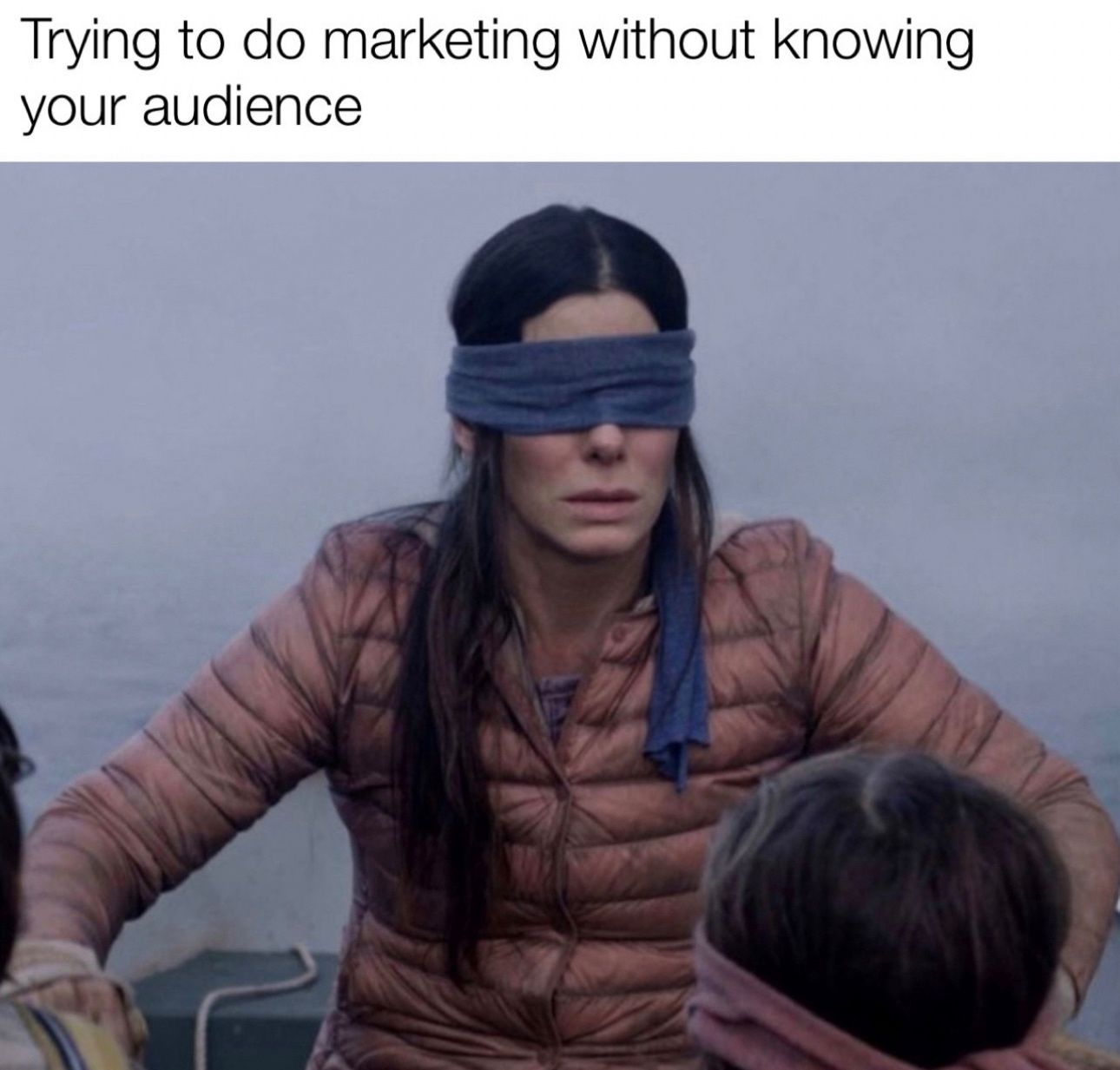 "Try to do marketing without knowing your audience" Birdbox meme