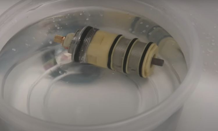 soak the cartridge in white vinegar