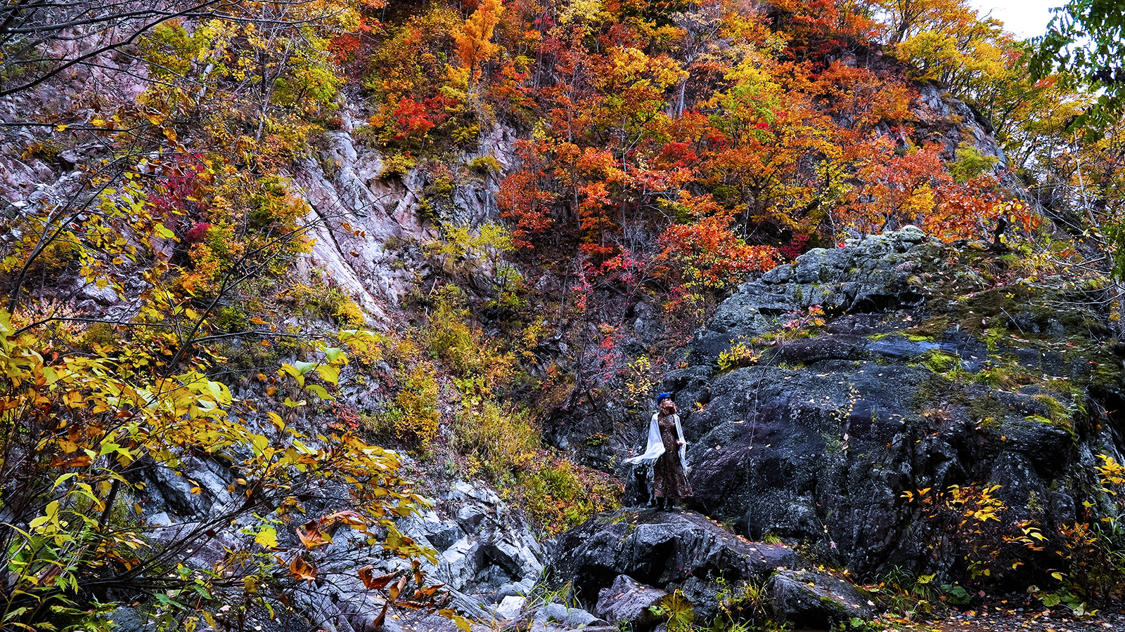 2.鮮やかに染まる紅葉が美しい景観を楽しめる「定山渓温泉街」