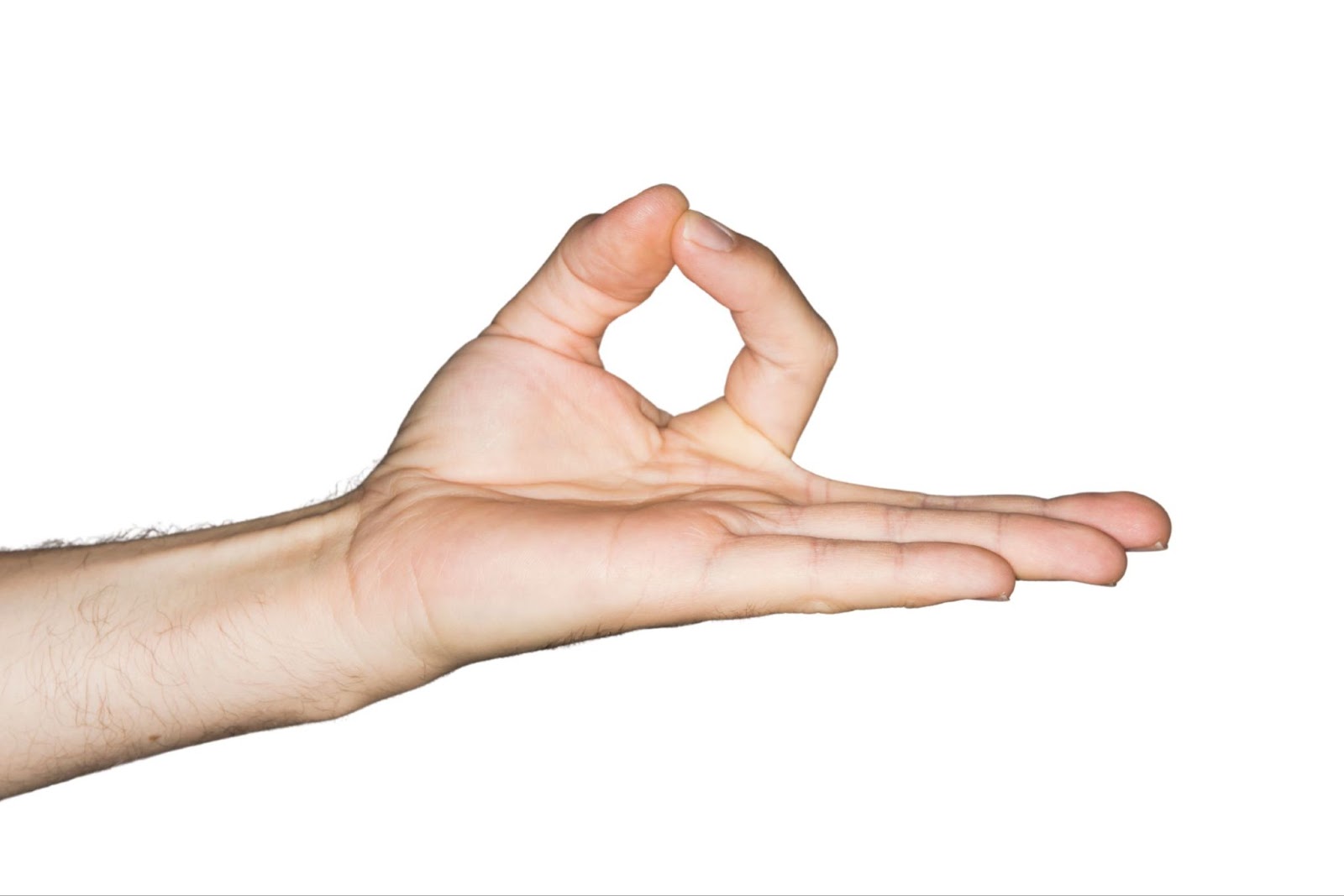 Gyan Mudras