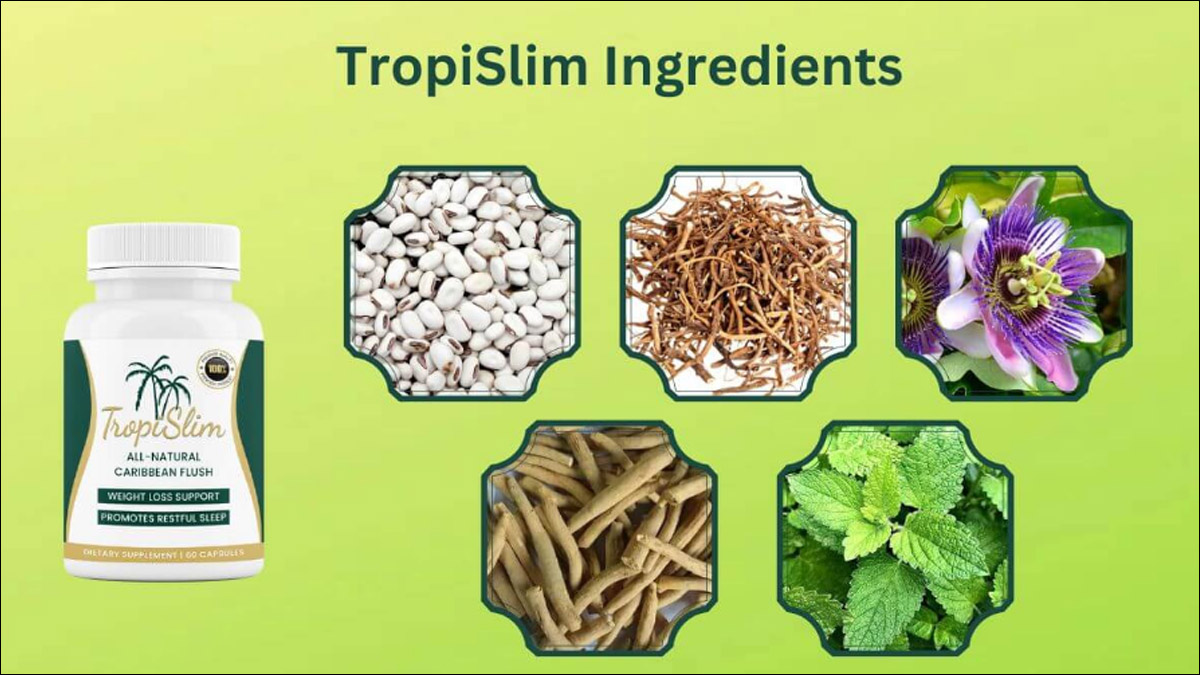 TropiSlim Ingredients