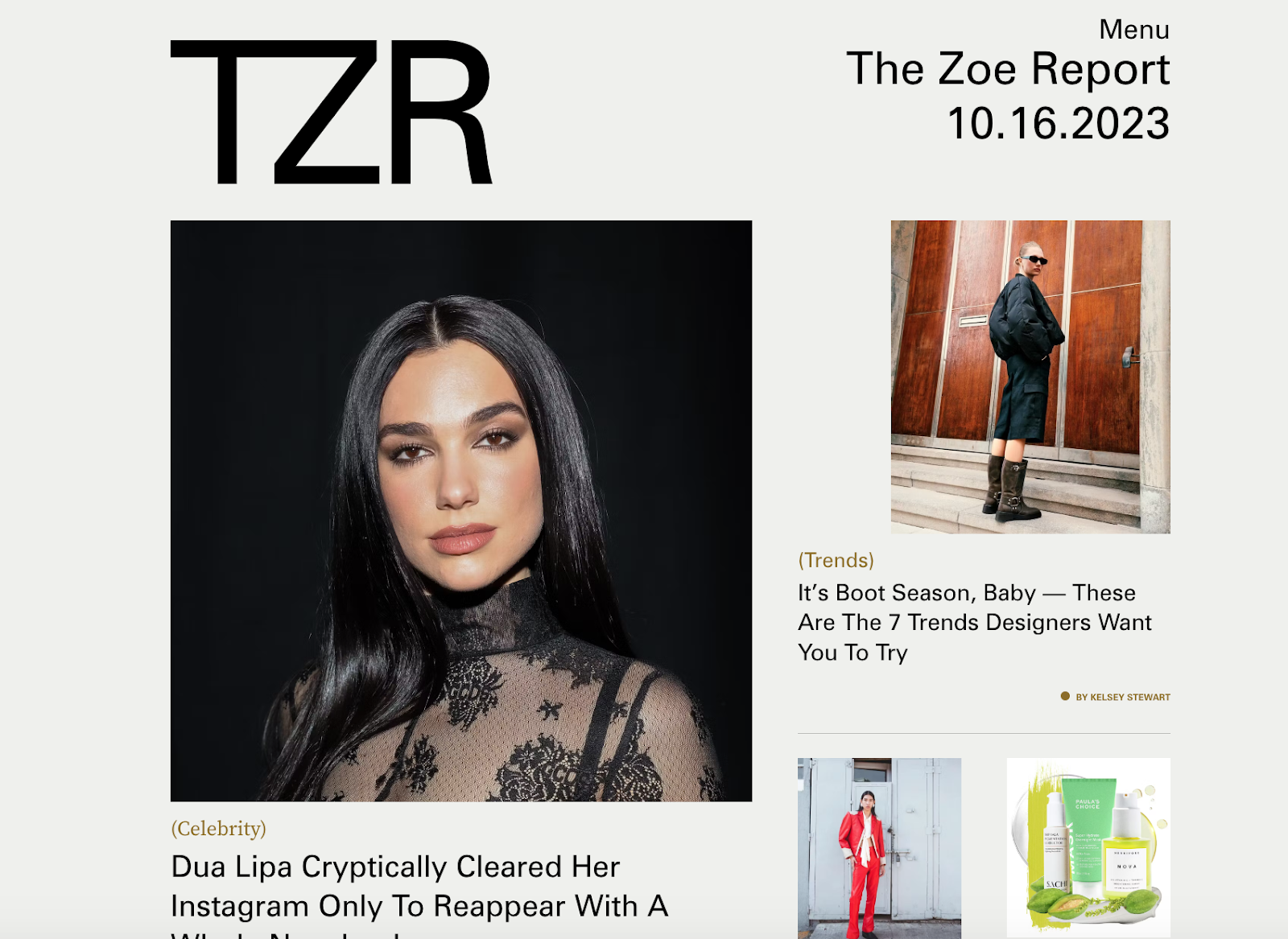 Niche website design example: The Zoe Report
